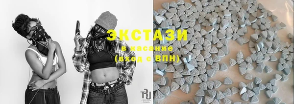 СК Алексин