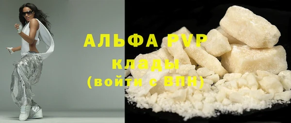крисы Алзамай