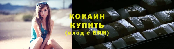 СК Алексин