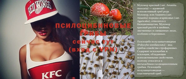 метадон Медногорск