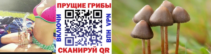 Псилоцибиновые грибы Psilocybine cubensis  наркошоп  kraken как войти  Бологое 